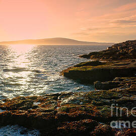 Acadia National Park by Olivier Le Queinec