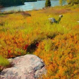 Acadia Spring by Jeffrey Kolker