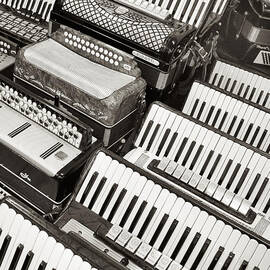 Accordions by Mary Lee Dereske