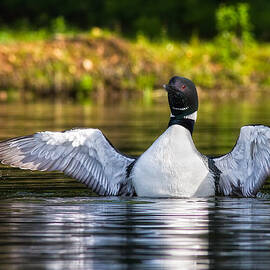 After The Dive by Jeff Sinon
