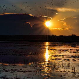 Late Afternoon Reflection by Dale Kauzlaric