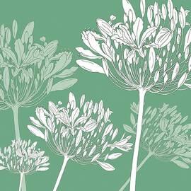 Agapanthus breeze by Sarah Hough