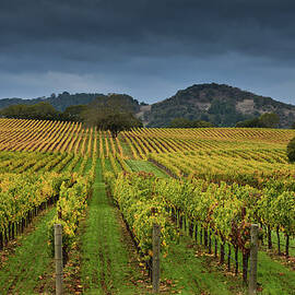 Alexander Valley by Rmb Images Photography By Robert Bowman