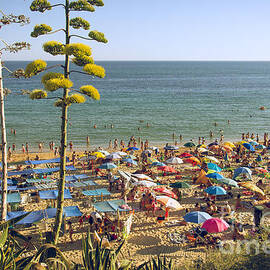 Algarve Beach by Carlos Caetano
