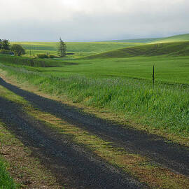 Almost Home by Mary Lee Dereske