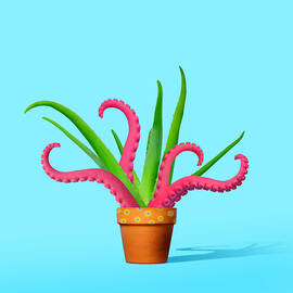 Aloe Plant With Octopus Tentacles by Juj Winn