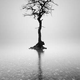 Alone by Grant Glendinning