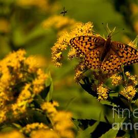 Along the Path to Running Eagle 1 by Natural Focal Point Photography
