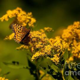 Along the Path to Running Eagle by Natural Focal Point Photography