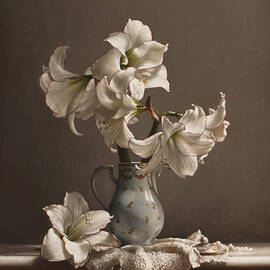 Amaryllis in a French Chocolate Pot by Lawrence Preston