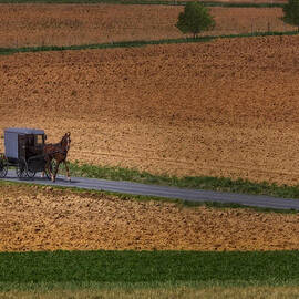 Amish Country Lancaster Pennsylvania by Susan Candelario