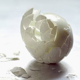 An Egg Shell by Romulo Yanes