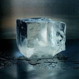 An Ice Cube by Romulo Yanes