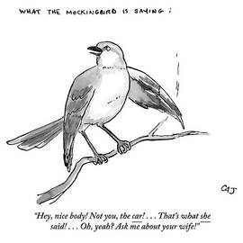 An Incendiary Mockingbird Is Depicted by Carolita Johnson