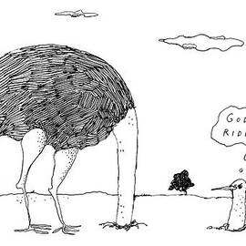 An Ostrich, With Its Head In The Ground, Peaks by Liana Finck