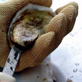 An Oytser Being Shucked by Romulo Yanes