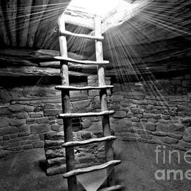 Ancient Glory by Adam Jewell