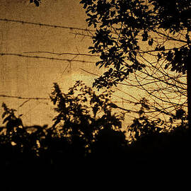 And Then The Night Comes by Georgia Clare