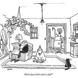 And Whose Little Mole Is This? by George Booth