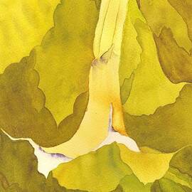 Angel Trumpet by Amanda Amend