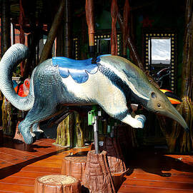 Anteater Ride by Richard Reeve