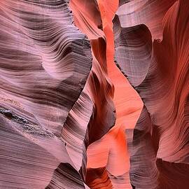 Antelope Orange Ribbons by Adam Jewell