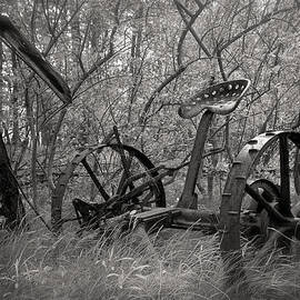 Antique Field Mower by Mary Lee Dereske