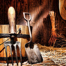 Antique Gardening Tools by Olivier Le Queinec