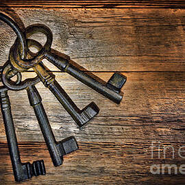 Antique Keys by Olivier Le Queinec