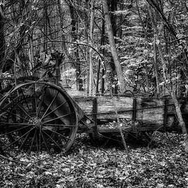 Antique Manure Spreader In The Forest by Jeff Sinon