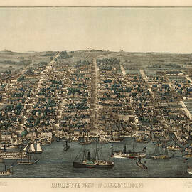 Antique Map of Alexandria Virginia by Charles Magnus - 1863 by Blue Monocle