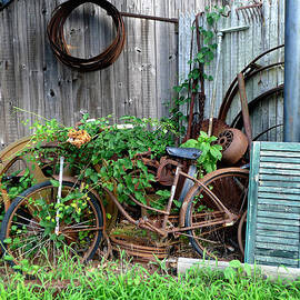 Any Old Iron by Richard Reeve