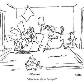 Aphids On The Heliotrope by George Booth