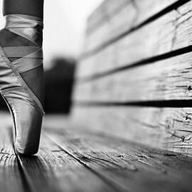 aplomb by Laura Fasulo