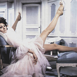 Arabesque  by Silver Screen