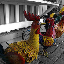 Are you Chicken? by Richard Reeve