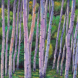 Aspen Enclave by JOHNATHAN HARRIS