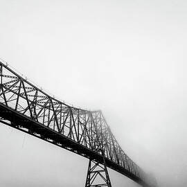 Astoria-megler Bridge And Seagull In Fog by Mike Hill