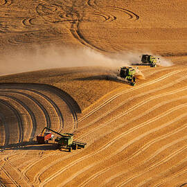 At the Point 2 by Mary Jo Allen