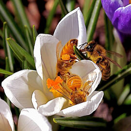 At Work by Rona Black