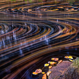 Autumn Chaos by Jeff Sinon