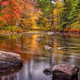 Autumn Color On The Isinglass River by Jeff Sinon