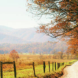 Autumn Country Road In The Forest by Moreiso
