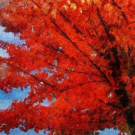 Autumn Fire by Jeffrey Kolker