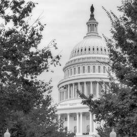 Autumn In The US Capitol BW by Susan Candelario