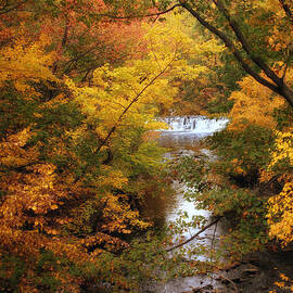 Autumn on Display by Jessica Jenney