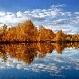 Autumn Reflection by Mary Jo Allen