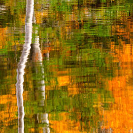 Autumn Reflections by Jeff Sinon