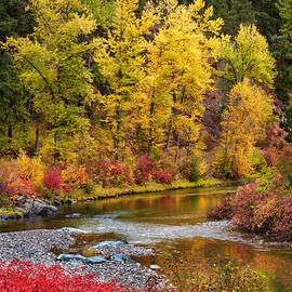 Autumn River by Mary Jo Allen