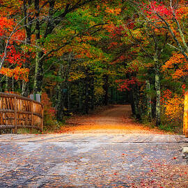 Autumn Road by Jeff Sinon